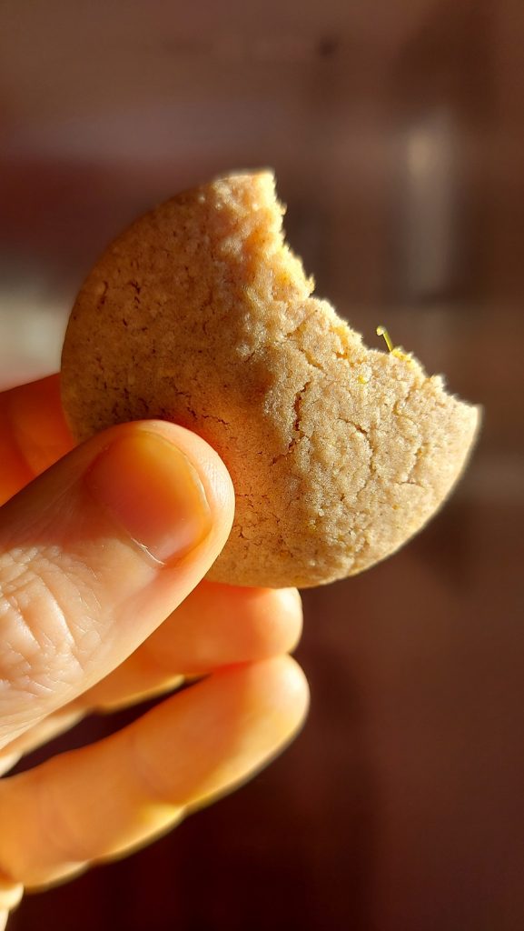 A seven spice Christmas cookie bitten in the shape of a half moon