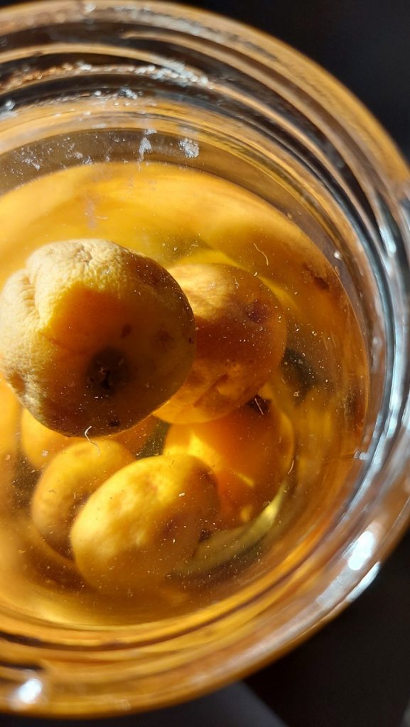 Pickled Loquat fruit in a jar. View from above